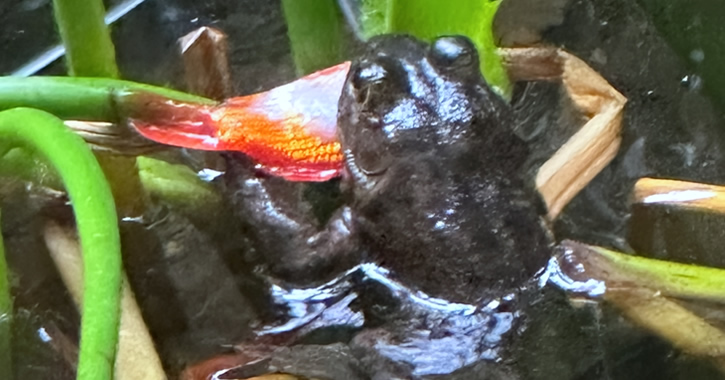 What’s New? 28/02/2026